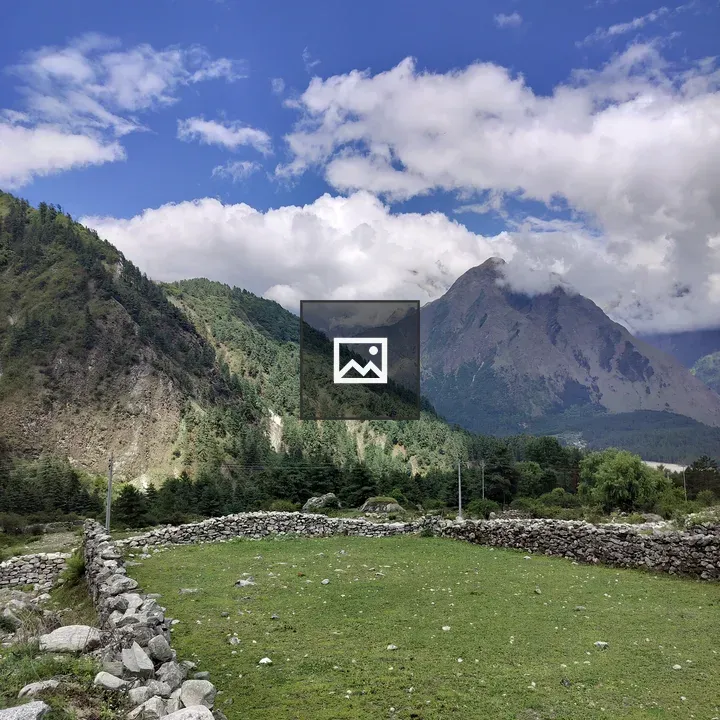 Meadow by Stone Walls