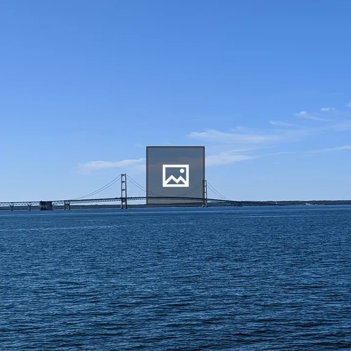 Mackinac Bridge View