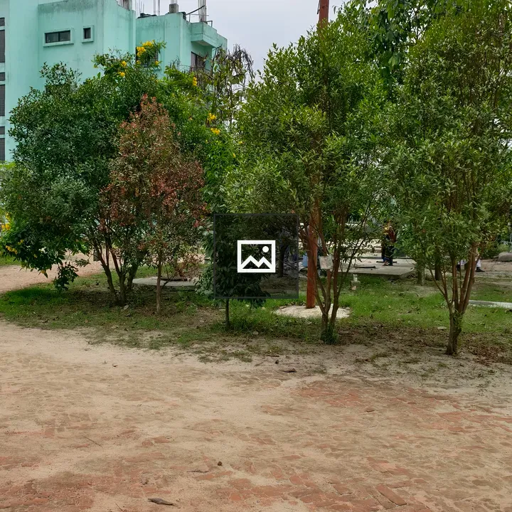 Trees Along Brick Pathway