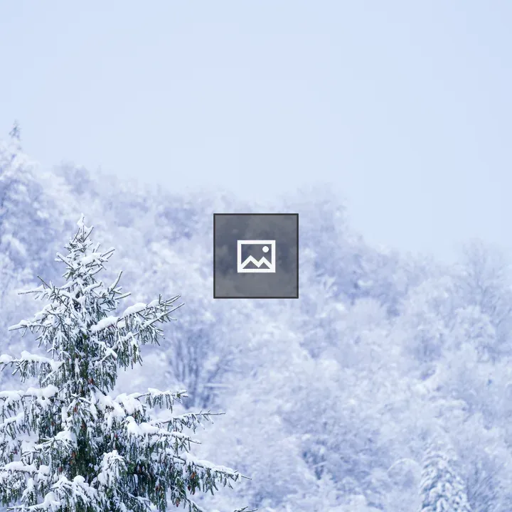 Winter trees in Transylvania