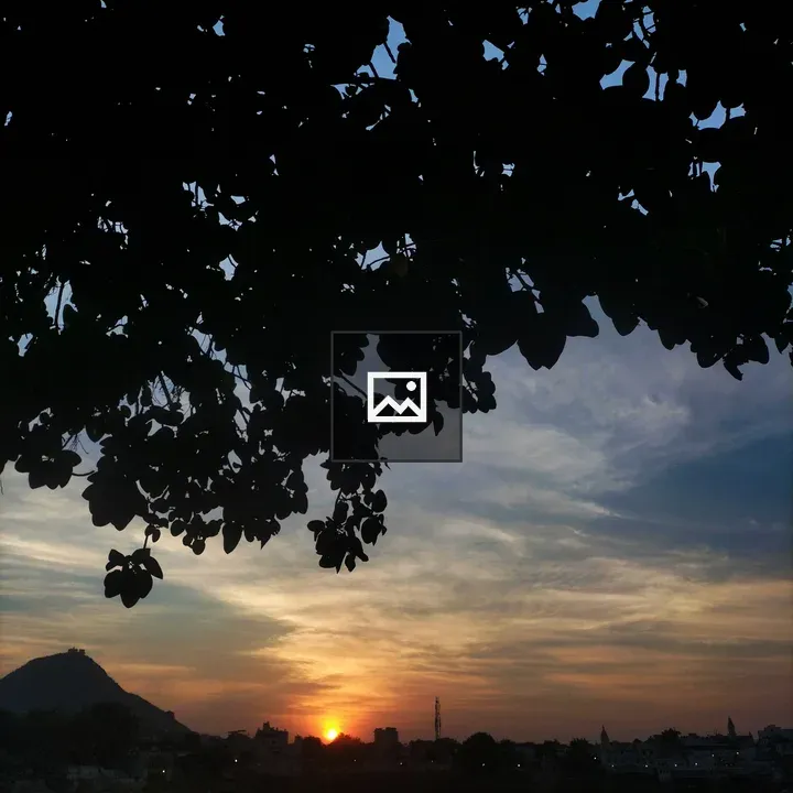 Sunset Tree Framed by Leaves