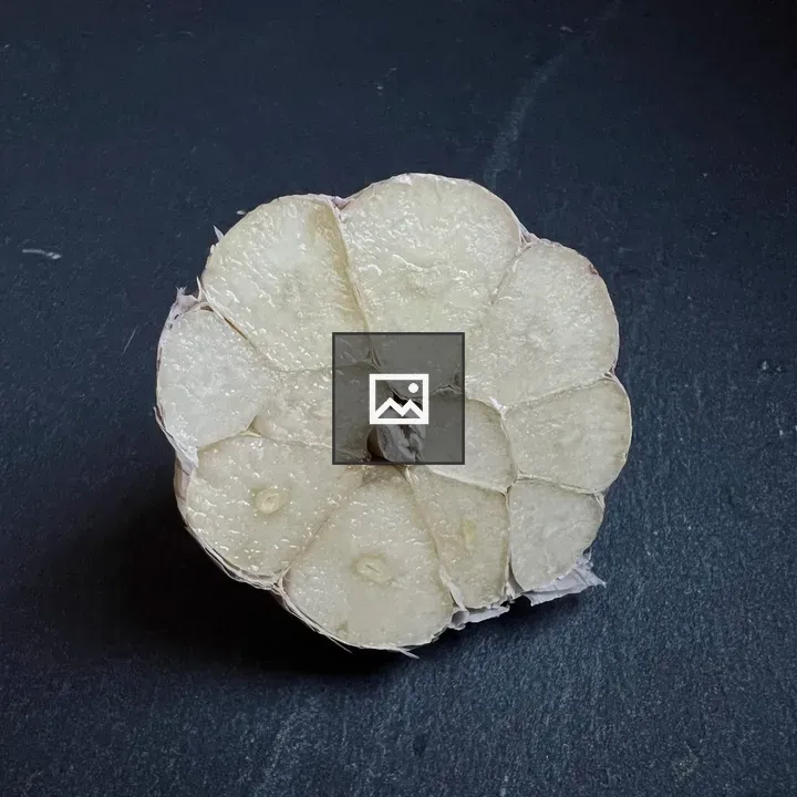 Garlic cross section