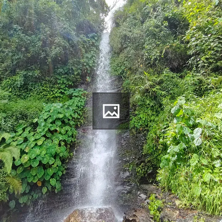 Waterfall among tropical plants