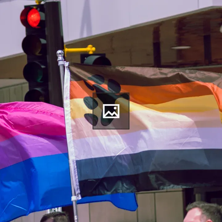 Bisexual and Bear Pride Flags