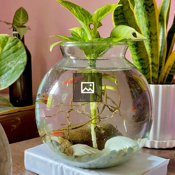 Glass fishbowl with plants and fish
