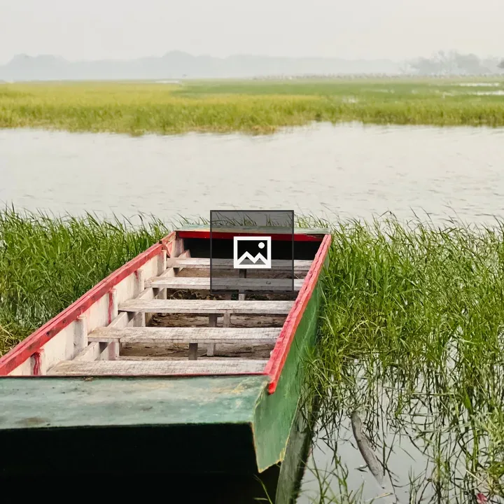 Small wooden boat by marsh