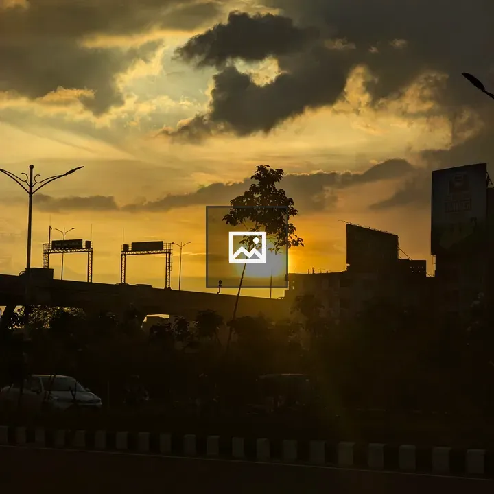 Sunset Over Street and Trees