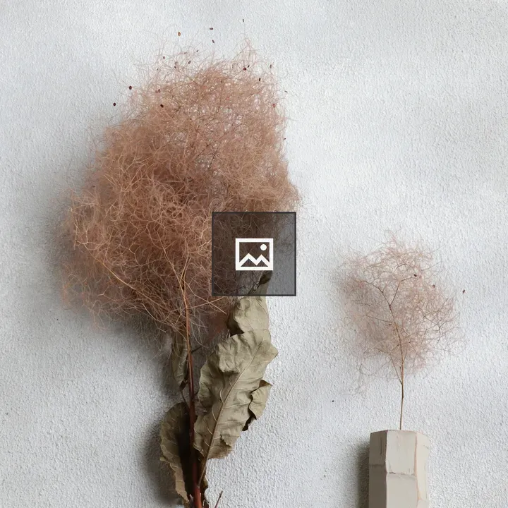Dried flowers on branch