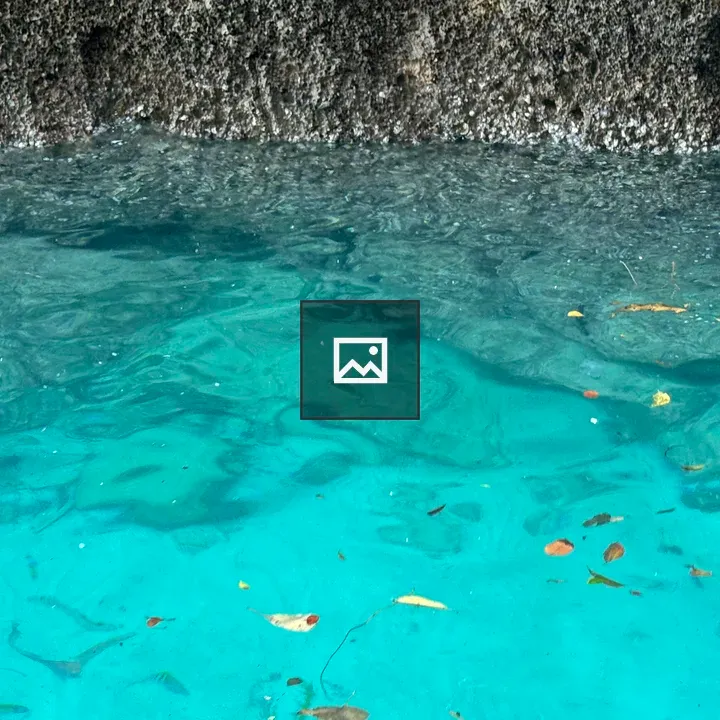 Top view of blue sea with leaves