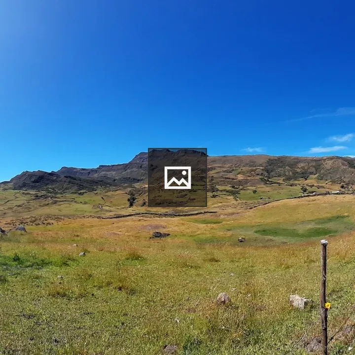 Landscape of PNN Cocuy