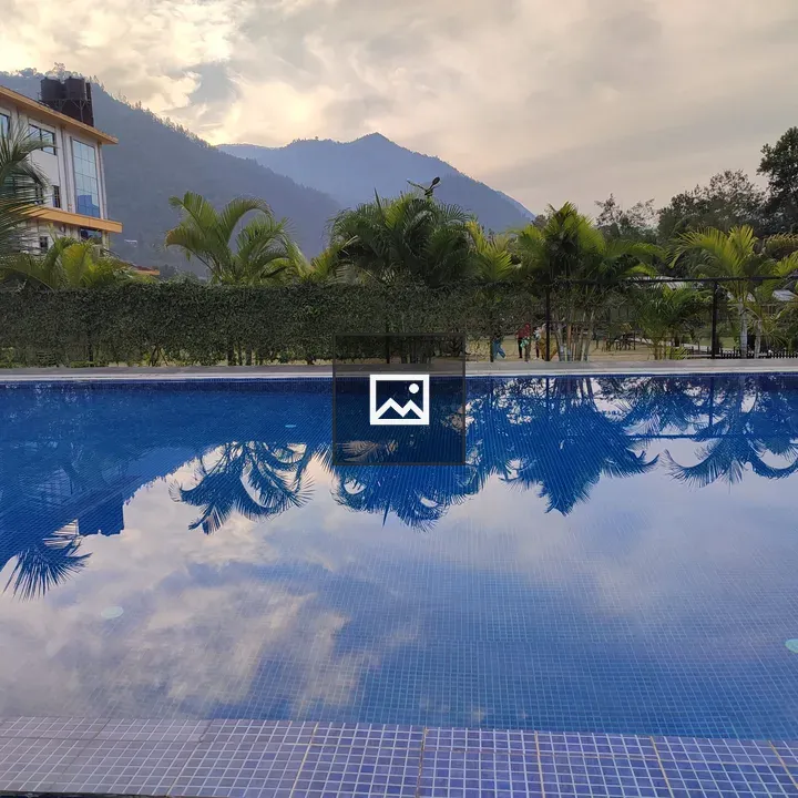 Serene outdoor pool with palm trees
