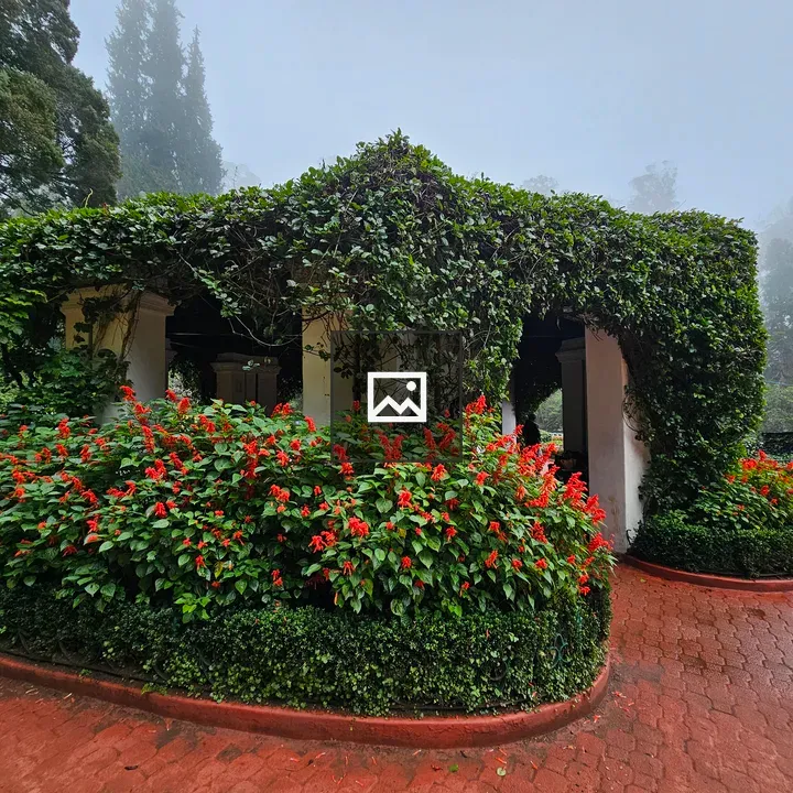 Garden gazebo with vines and red flowers