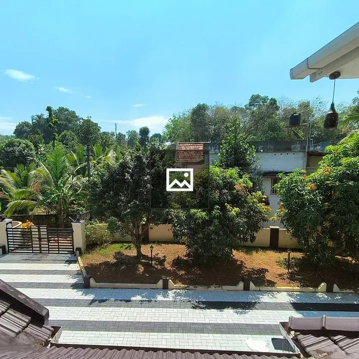 Aerial view of trees and driveway