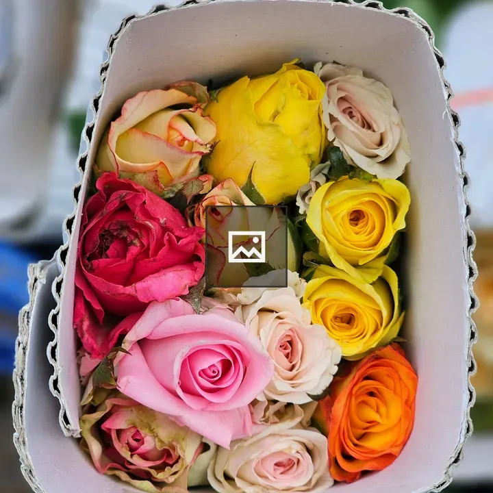 Rose flowers for sale at market