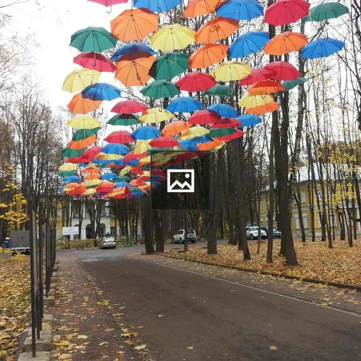 Umbrellas in Rain