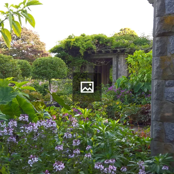 Garden view at Royal Roads University