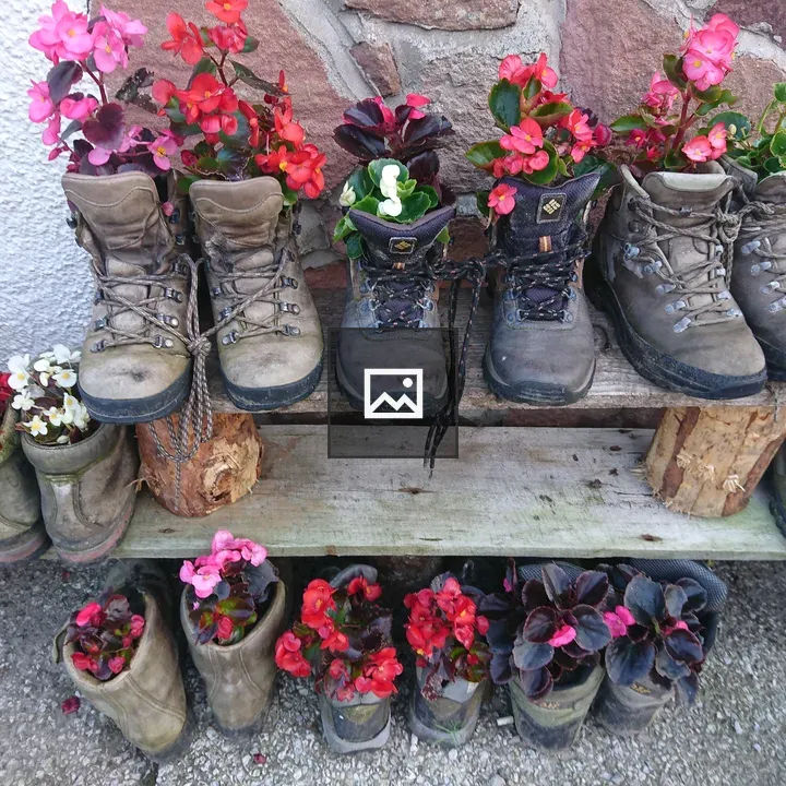 Flowers in hiking boots